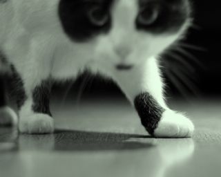 funny motivational quotes